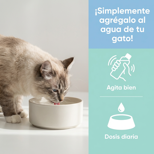 Aditivo Dental Para Gatos