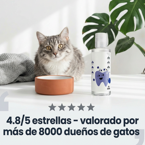 Aditivo Dental Para Gatos