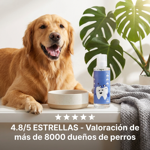 Aditivo Dental Para Perros