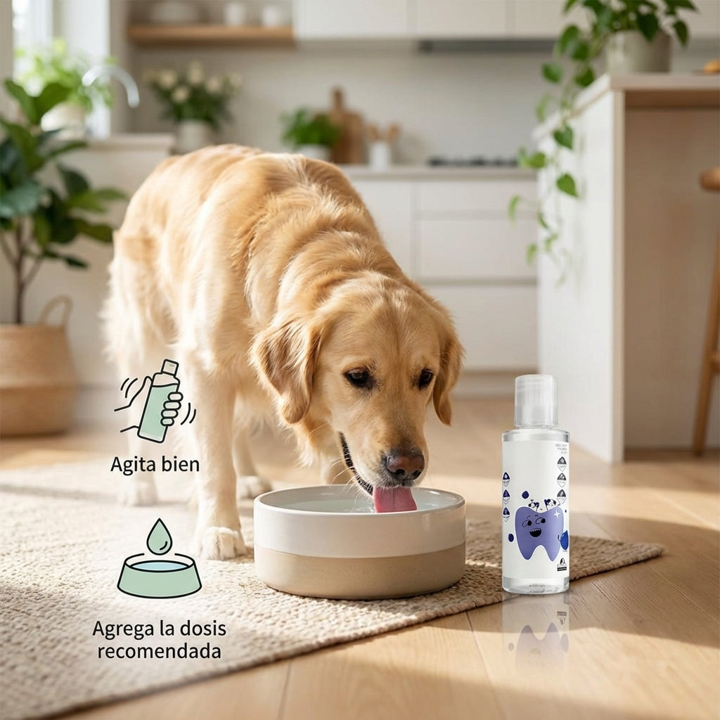 Aditivo Dental Para Perros